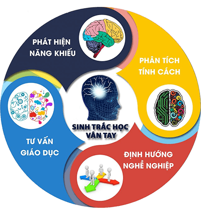 Sinh trắc vân tay là gì?